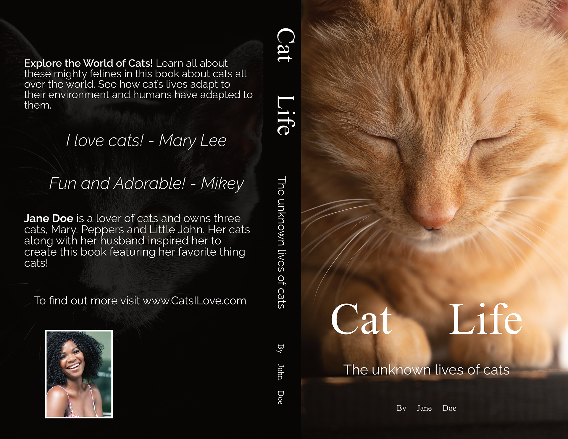 2023 – Free Book Template